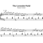 The lavender field