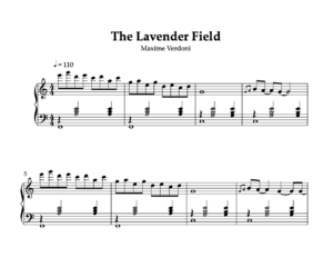The lavender field