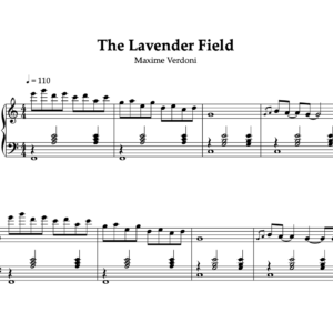 The lavender field